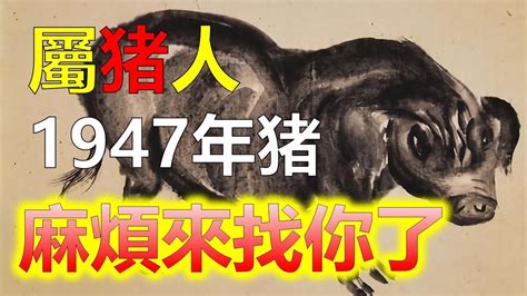 1947年生肖豬